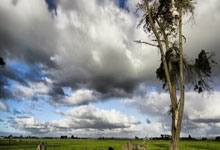 新型消费持续壮大 服务消费韧性较强 消费市场平稳连接“金九银十”