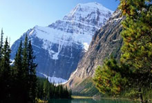 2024年，全国规模以上农产品加工企业营收达到18万亿元左右